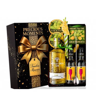 Gin and Tonic Experi...